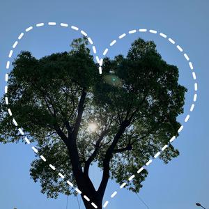 骚妇自卫动漫小说
